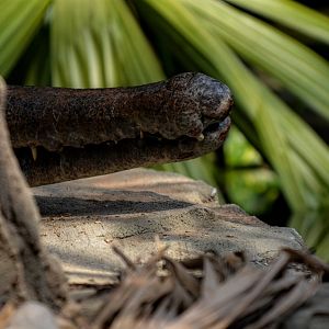 Some one was being shy