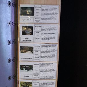 Fish-signs Amazonas-aquarium