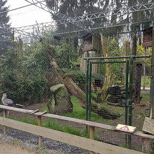 Secretary bird-aviary