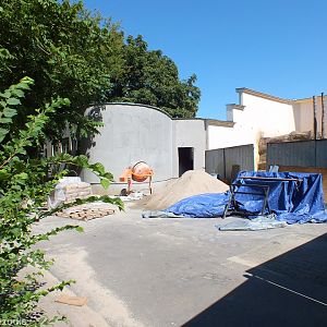 Indoor Housing for Baboons Construction