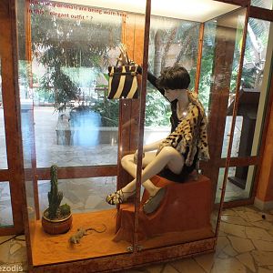 Exhibit in new display "How Many Animals are being Worn Here in this "Elegant Outfit"?"