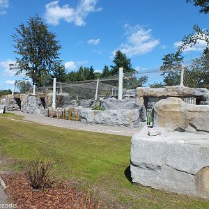 Brand New Snow Leopard Enclosure
