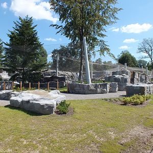 Brand New Snow Leopard Enclosure