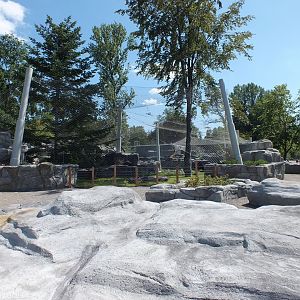Brand New Snow Leopard Enclosure