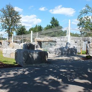 Brand New Snow Leopard Enclosure