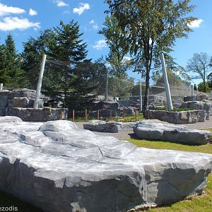 Brand New Snow Leopard Enclosure