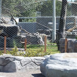 Brand New Snow Leopard Enclosure