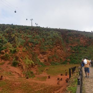 Bear Enclosure at Cabarceno, 08/07/17