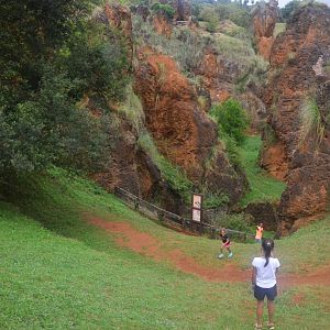 Precipitous Hyaena Viewing at Cabarceno, 08/07/17