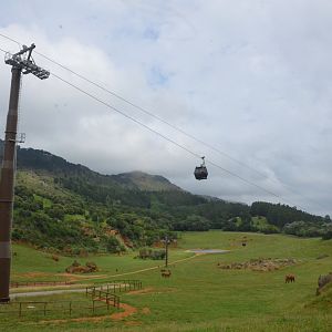 Elephant/Buffalo/Lechwe Paddock at Cabarceno, 08/07/17