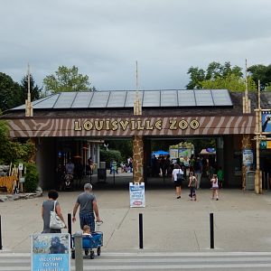 8/4/2017 - Entrance Gate