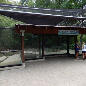 8/4/2017 - Blue Penguin Exhibit Viewing Area