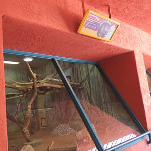 Nursery - Panay Cloud Rat Exhibit