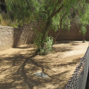 Nursery - Outdoor Yard