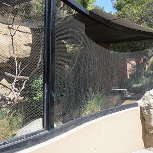 Desert Trail - Red Billed Blue Magpie Exhibit