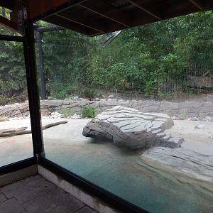 8/4/2017 - Blue Penguin Habitat