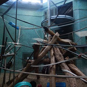 8/4/2017 - Dayroom Rotation Habitat