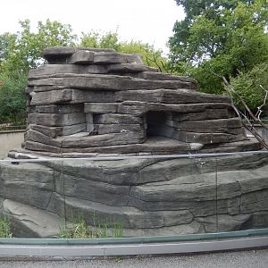 8/4/2017 - Lemur Mock-Rock Mountain