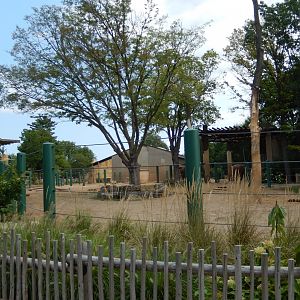 8/4/2017 - Elephant Paddock - New Section