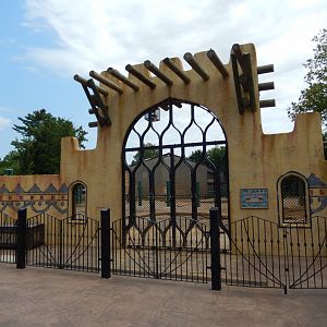 8/4/2017 - Elephant Encounter