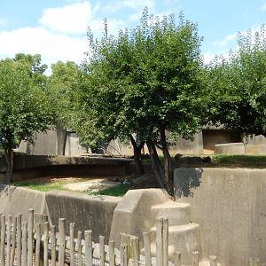 8/4/2017 - Lion Grotto