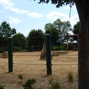 8/4/2017 - Elephant Paddock - Old Section