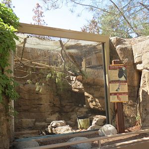 Desert Trail - Yellow Billed Magpie Exhibit