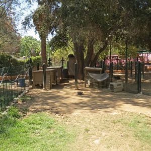 Muriel's Ranch - Rabbit Exhibit