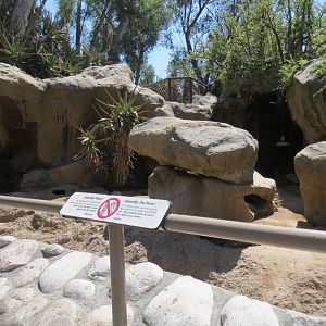 Entry Path - Meerkat Exhibit