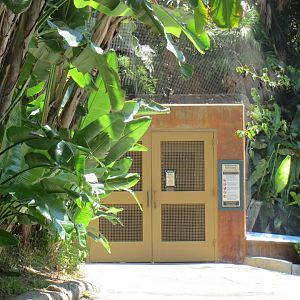 Walkthrough Aviary Entrance