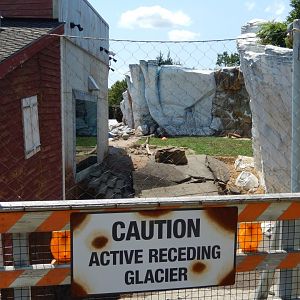 8/4/2017 - Bear Exhibit