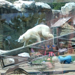 8/4/2017 - Let the Search Begin!