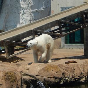 8/4/2017 - Must Find Treats!