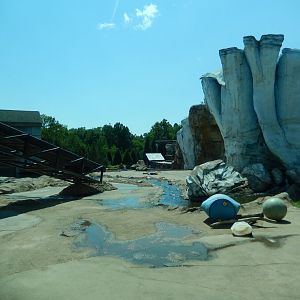 8/4/2017 - Bear Exhibit