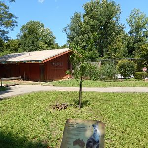 8/4/2017 - Wallaroo Walkabout