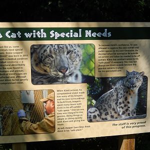 8/4/2017 - Signage About Kimti