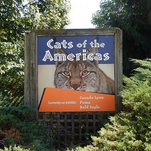 8/4/2017 - Cats of the Americas Sign