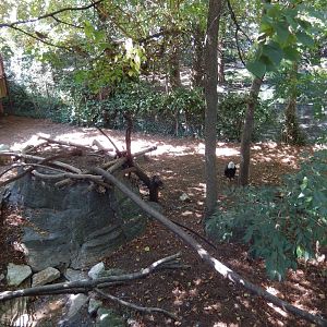 8/4/2017 - Bald Eagle Exhibit