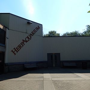 8/4/2017 - HerpAquarium Entry