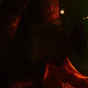 8/4/2017 - Black Piranha