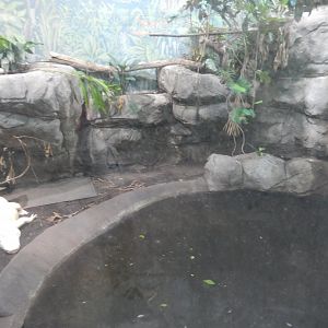 8/4/2017 - King Louie's "Kingdom"