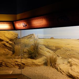 8/4/2017 - Indian Desert Habitat