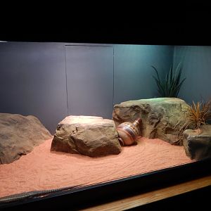 8/4/2017 - Terrarium