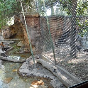 8/4/2017 - Predator and Prey