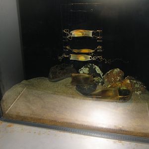 Nordsøen Oceanarium - "The sea observatory" - Breeding station