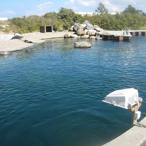 Nordsøen Oceanarium - "Sælkoloni Limfjorden"
