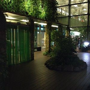 Butterfly Garden at Changi Airport