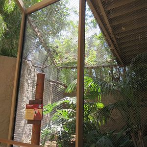 South America - Scarlet Macaw Exhibit