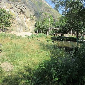 Indoor big walktrough aviary - July/2017