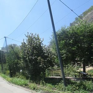 Big walktrough aviary - July/2017